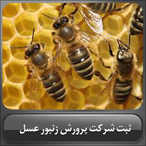 ثبت شرکت پرورش زنبور عسل